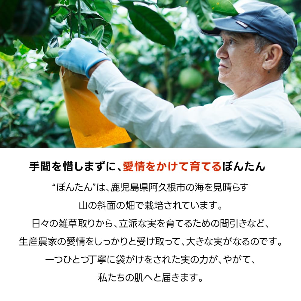 Amazon | 長寿の里 公式 然 －しかり－ ぼんたんクレンジング 150ml 完