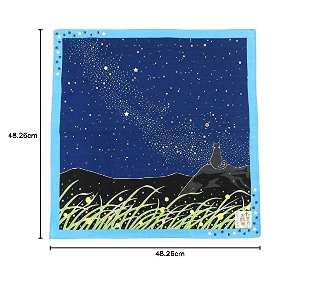 Tamanoosanpo Japanisches Geschenktuch (Furoshiki) – 48,3 x 48,3 cm – Katze: Milchstraße – zurück zur Schule