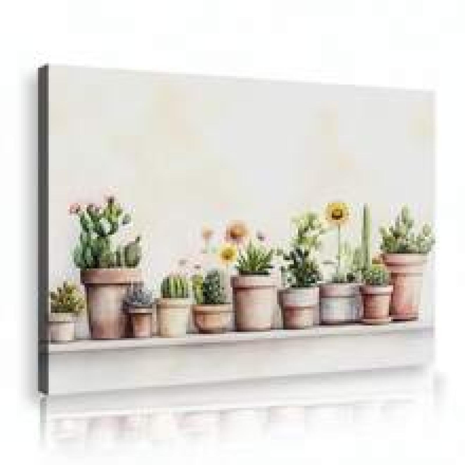 XINBAO Impresiones en lienzo de cactus, cuadros de plantas en macetas, decoración, obras de arte, arte de pared de plantas botánicas, carteles de cactus para habitación de niños, 50 x 70 cm con marco
