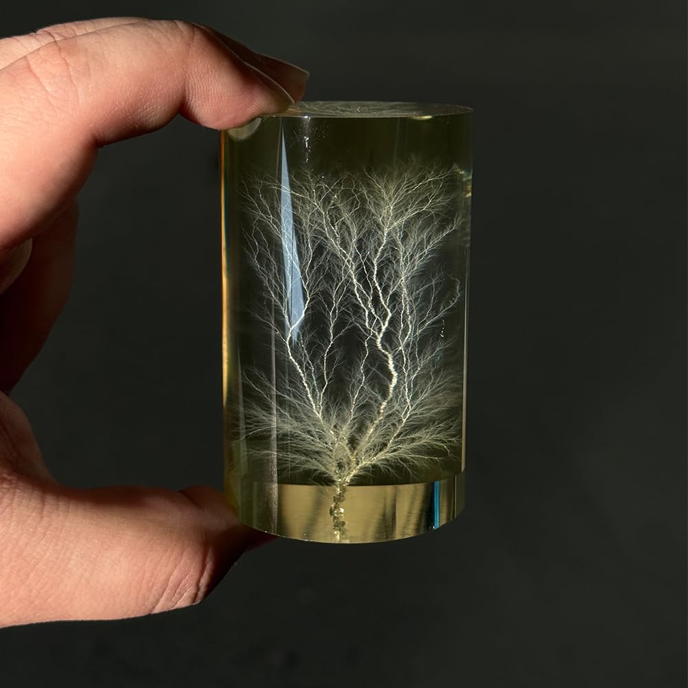 Lichtenberg Blitz Skulptur mit separater LED-Display-Basis | Wissenschaftliches Kunstobjekt mit Mustern hoher Spannung; Deko für Schreibtisch & Regal, Geschenk für Tech-Enthusiasten