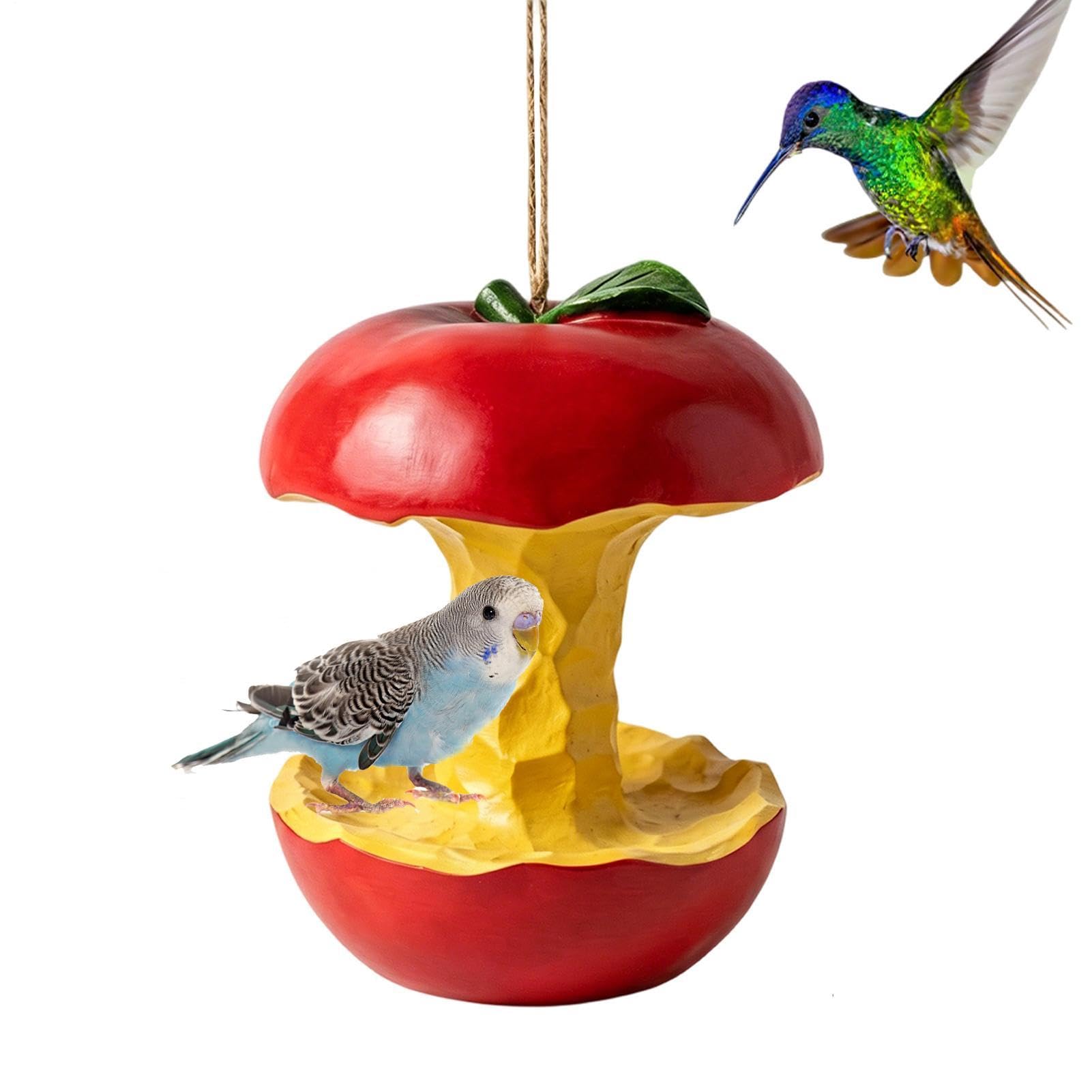 Mangeoire à fruits pour oiseaux extérieurs et station d'alimentation pour arbre de jardin