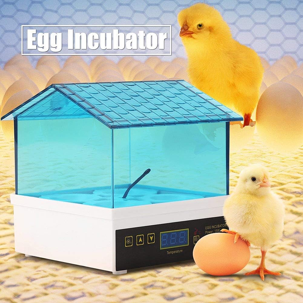 4 Egg Incubator, Mini Semi-Automatic Hatching Machine Intelligent Digital Temperature Control for Chicken Quail Pigeons, 110V/220V
