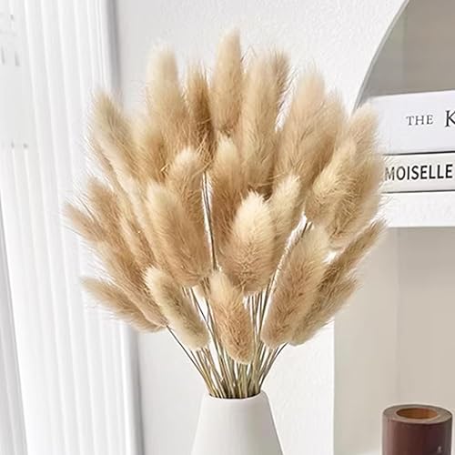 Miniatura 3 de 60 piezas de flores secas de cola de conejo, arreglo floral natural seco, ramo de decoración de hierba seca, flores eternas secas para el hogar,