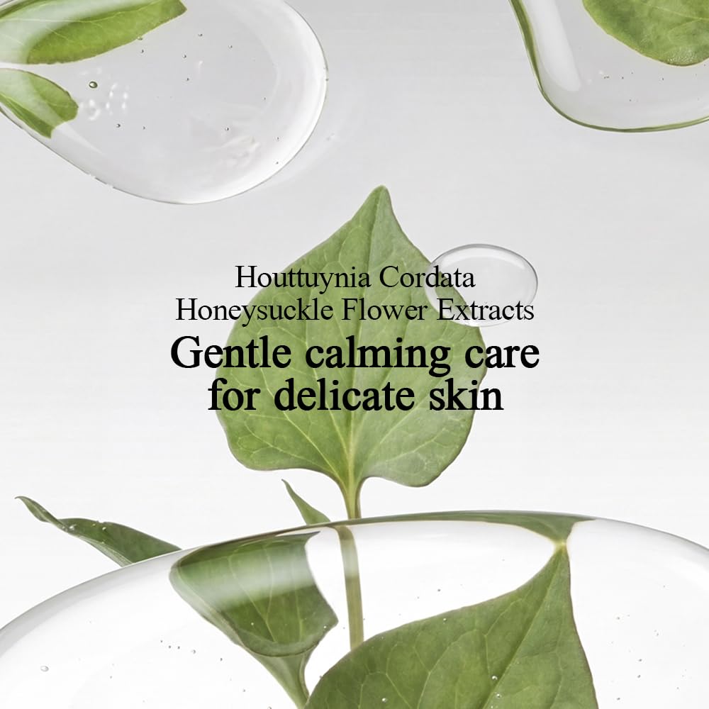 Pyunkang Yul Nettoyant féminin à faible pH avec thé vert, Cica, hydratant pour la santé vaginale des femmes, apaisant, soin d'hygiène intime pour les démangeaisons et la peau sèche, nettoyan, 500 ml