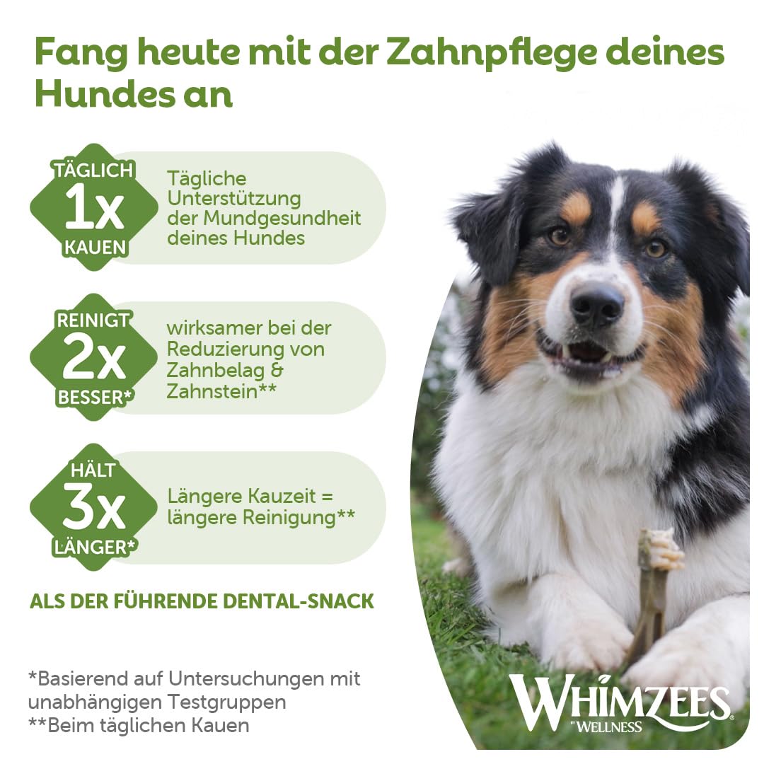 WHIMZEES Zahnbürste L, Monatspackung, 30 Stück – Größe L, Kaustangen für große Hunde zur Zahnpflege, Getreidefrei, Natürlich, ohne Zuckerzusatz