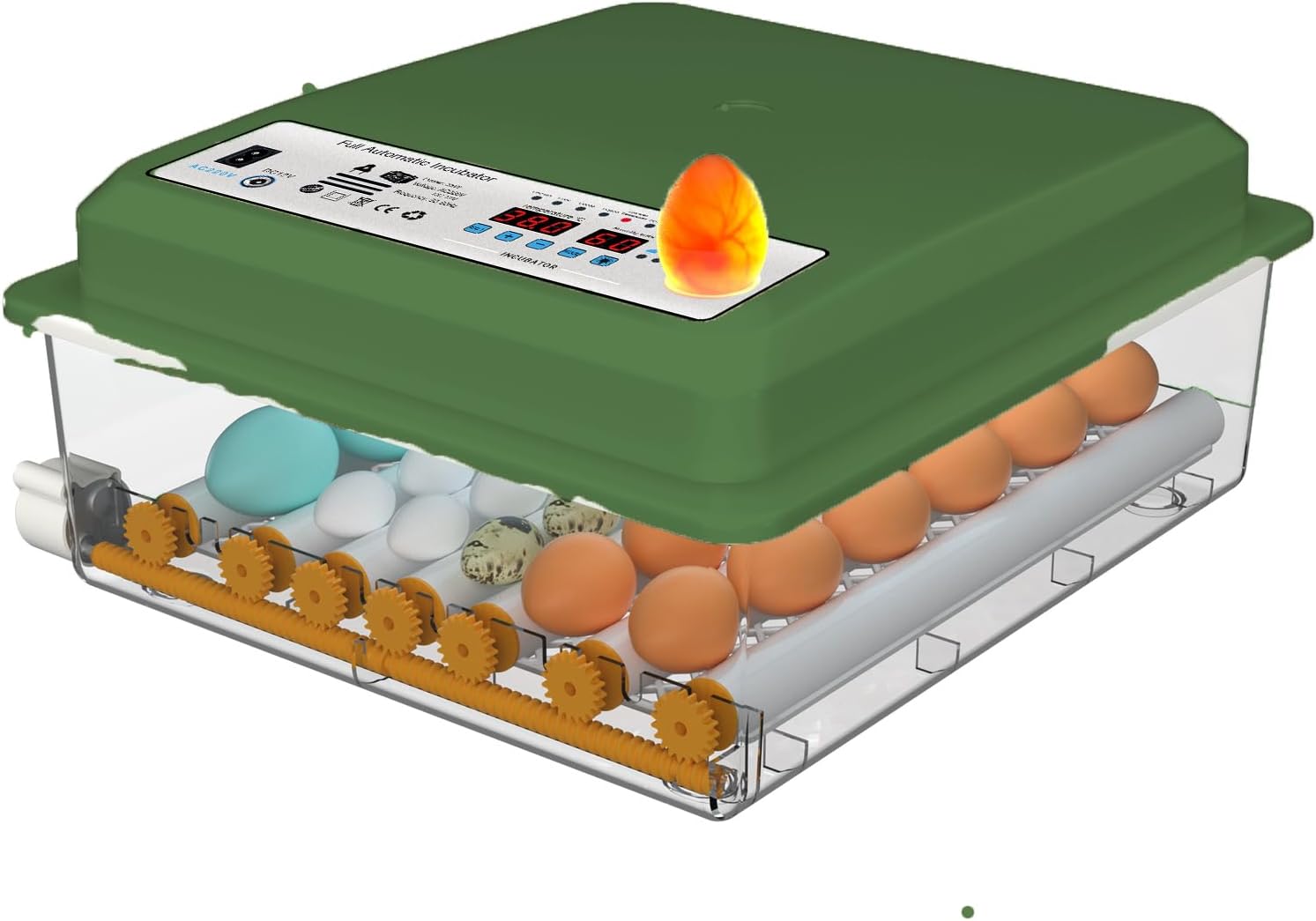 36 Egg Incubator with Automatic Egg Turning and Humidity Control, Incubators for Hatching Eggs, Chicken, Ducks, Goose, Pigeon, Quail, Parrot Incubator for Farm, Lab, Home (Green)