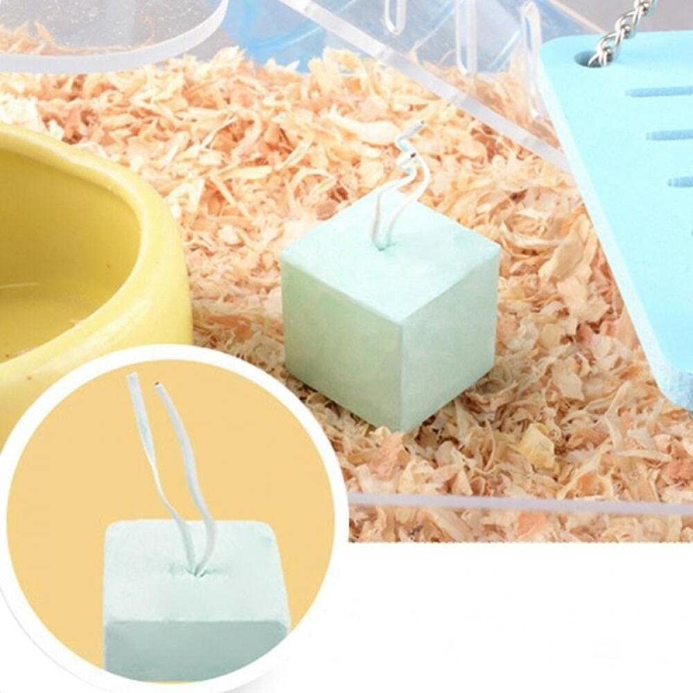 Hamstertanden verzorgen; tips voor het gebit van je hamster - Pets Place