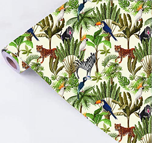 All Your Design Decorative Wallpaper Wall Sticker for Home Decor_431