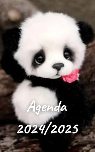 AGENDA 2024/2025: Planificateur scolaire journalier | Emploi du temps | Calendrier | Une page par jour