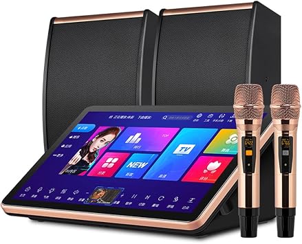 Professional Karaoke System, 15.6in Karaoke Machine with 2 Wireless Microphones & Speakers, Built-in 500G Harddisk, Professional DSP Digital Megaphone Black