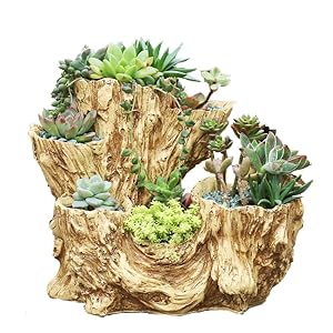 Driftwoodplanterfauxwoodresinsucculentplantervintageartificialstumploglikecontainerpotforhomegardennoplants6openings  Urban Country Home Decor Driftwood planter faux wood resin succulent planter vintage artificial stump log like container pot for homegarden no plants 6 openings  urban country home decor