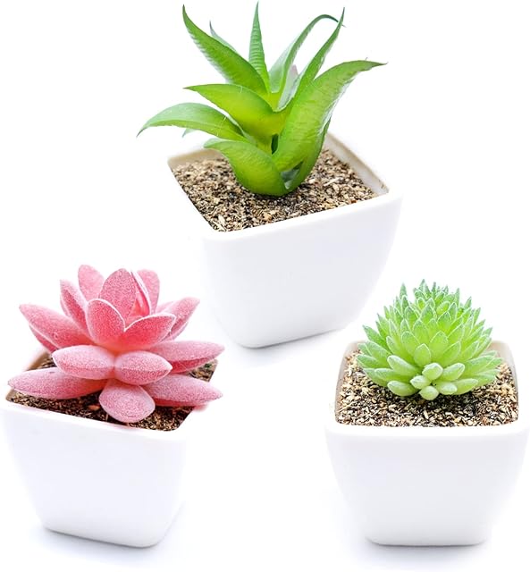 Cisolen 3 Piece Mini Artificial Succulent Plants with Pot Plants Set Decorative Fake Succulent Plants Decorative Fake Succulent Plants for Home Office Desk Table Balcony Decoration DIY Gift