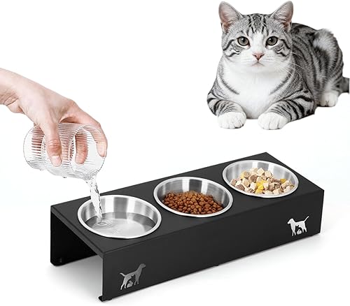 Cuencos elevados para gatos con base antideslizante, soporte integrado inclinado en 15, platos elevados para gatos, incluye 3 cuencos de acero