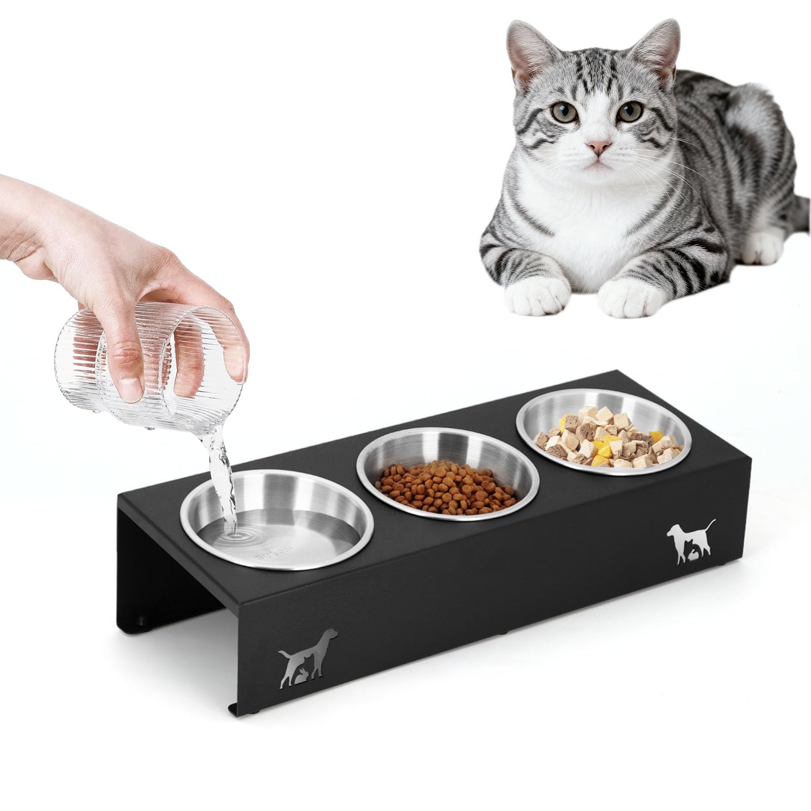Elevated cat Bowls with Non-Slip Base, 15°Tilted Integrated Stand Anti Vomiting Raised Cat Dishes, Includes 3 Stainless Steel Bowls for Food and Water
