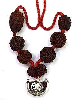 Siddha Rudraksha Mala (Nepali 1 mukhi to 7 mukhi Rudraksh) with Gauri shankar rudraksha (Small)