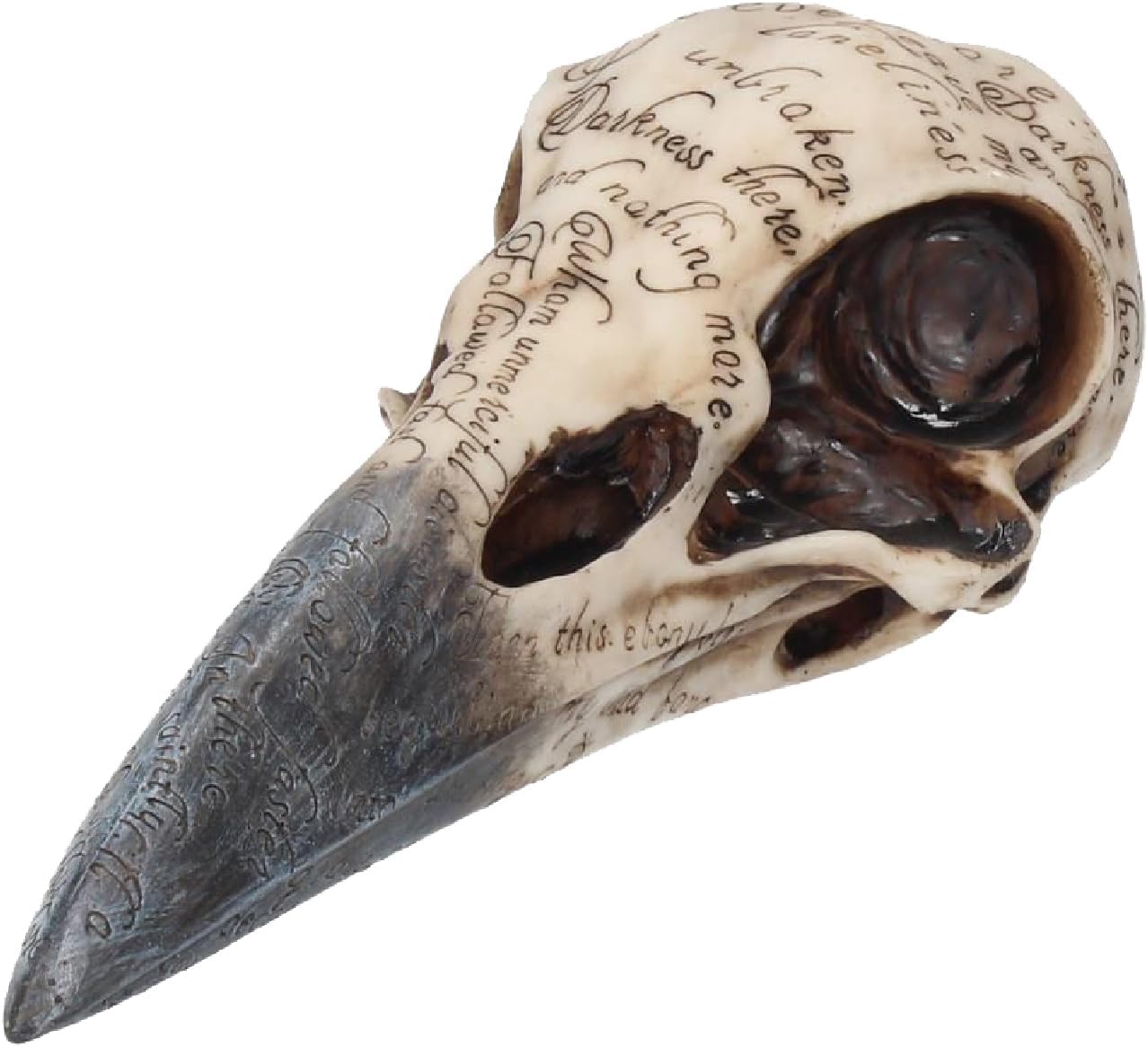 Nemesis Now Edgar's Raven Skull Figurine 25cm Ivory