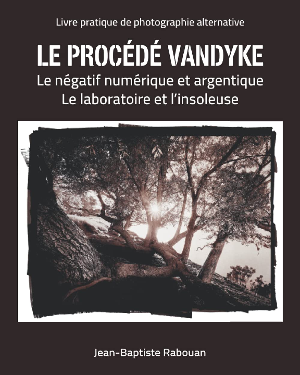 Le procédé vandyke: Le négatif numérique et argentique Le laboratoire et l'insoleuse
