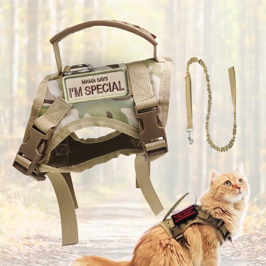 Amazon | しっぽの幸せ本舗 お散歩・トレーニング用ハーネス