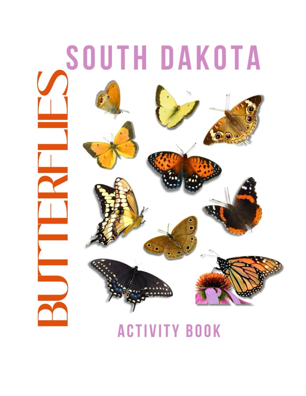 Butterflies of South Dakota Activity Book: A Young Explorer’s Field Guide to the Winged Wonders of South Dakota (South Dakota Nature Explorer Series)