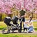 Dream On Me Track Tandem Double Umbrella Stroller in Black, Lightweight Double Stroller for Infant and Toddler, Multi-Position Reversible & Reclining Seats, Large Storage Basket and Canopy