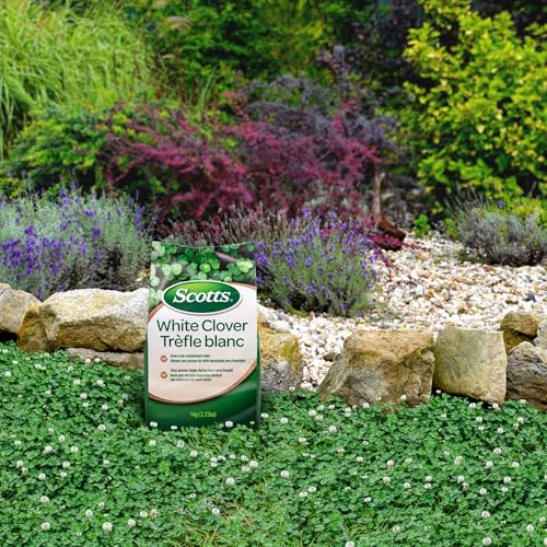 Scotts White Clover Lawn Seed, 1kg (Covers 1,100 Sq. Ft.) – Low-Maintenance, Self-Fertilizing, Drought-Tolerant Grass Seed Alternative for Eco-Friendly Lawns