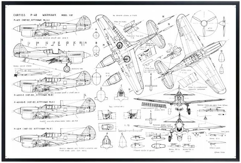 Blessed Posters Curtiss P-40 Warhawk - Vintage Warbird Wall Art - WWII Airplane Artwork - World War 2 Wall Decor - Gifts for Aviation Lovers - Blueprint diagram decoration