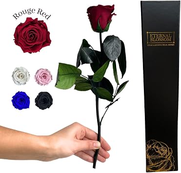 Eternal Blossom Preserved Real Long Stem Infinity Rose | Eternal Rose That Lasts Over A Year With Beautiful Gift Box Rouge Red