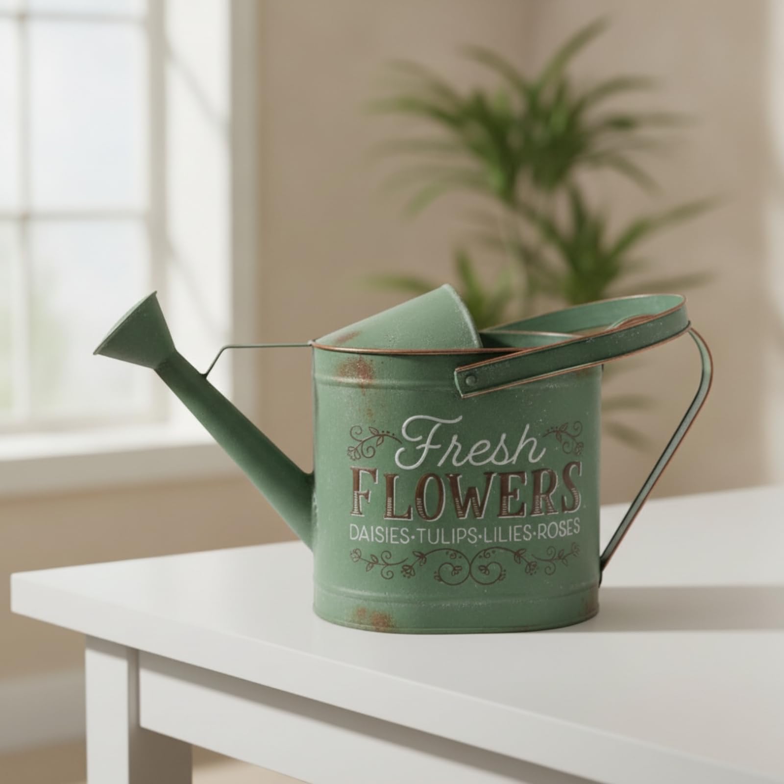 Annaffiatoio con Beccuccio Lungo Co | Stile Rustico Vintage, Annaffiatoio con Soffione, Pratico, per Giardino, Casa, Balcone