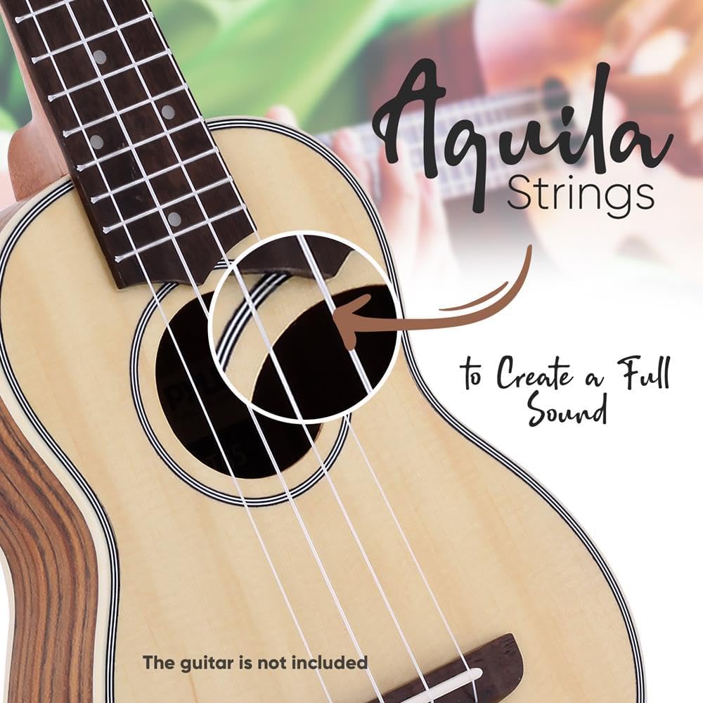 11 Piece Guitar Accessory Kit - Full Set of Replacement Includes 6 Aquila Nylon Strings, Guitar Capo, 3 Pieces ABS Felt Picks, and Cleaning Cloth - Pyle PRTPGACLS821010