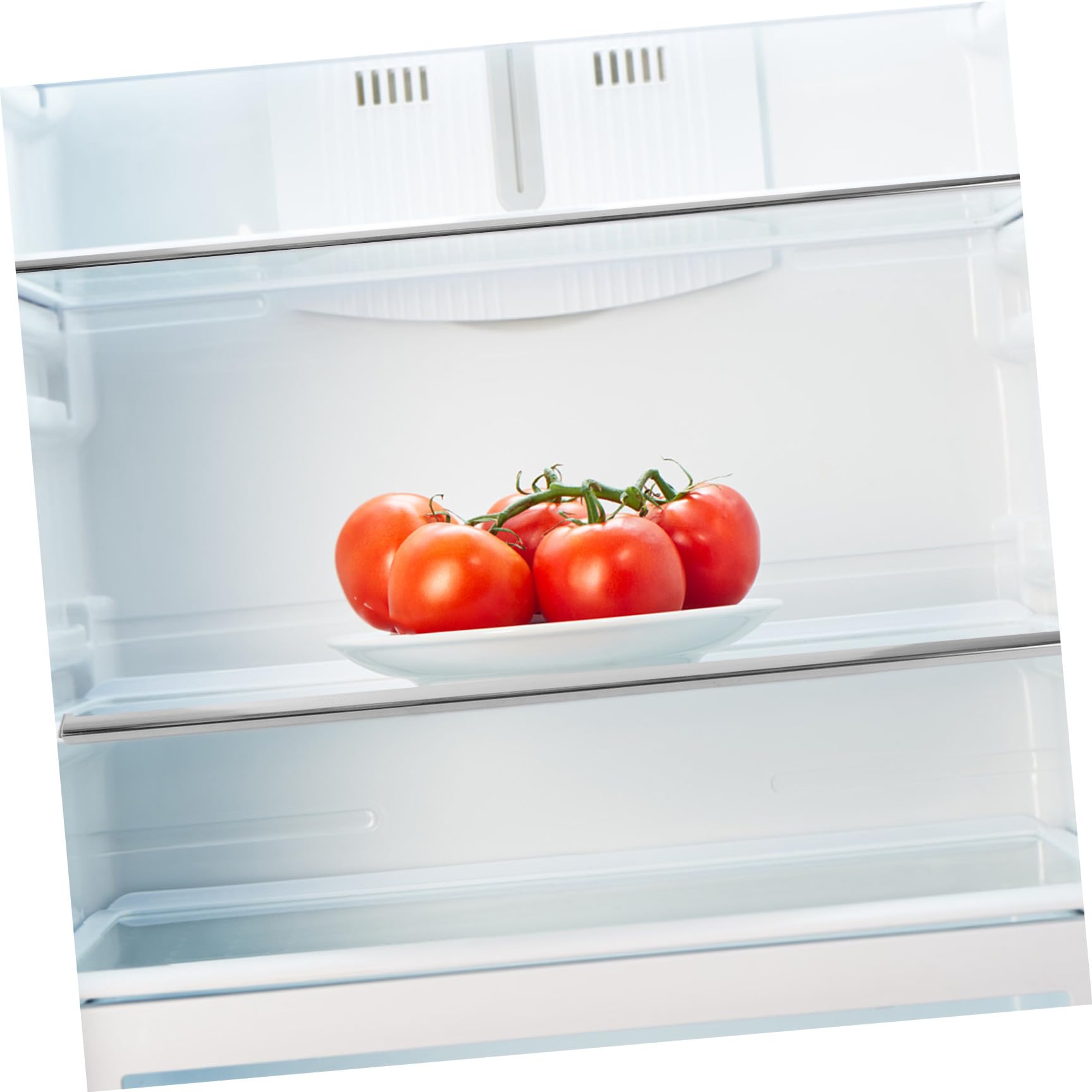 Ripiano in Vetro per Frigorifero e Freezer Divisione Flessibile