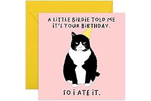 Central 23 - Tarjeta de cumpleaños divertida para los amantes de los gatos