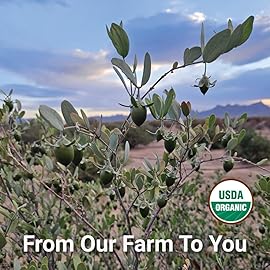 Desert Oasis Skincare | USDA Certified Organic Jojoba Oil - 100% Pure, Cold Pressed, Natural Conditioner for Face, Hair, Skin, Nails, Tattoos & Piercings - (2 fl oz / 59 ml)