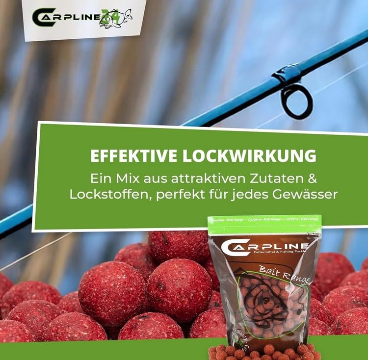 Boilies Erdbeere Scopex - 10 kg - 20 mm - Karpfenköder zum Angeln, Futterboilies zum Anfüttern von Karpfen, Carp Baits, Angelfutter mit Lockstoff