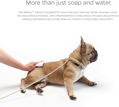 Miniatura 30 de Pet Parents® Pet WiPees™ - Toallitas multiusos para perros + piel y pelaje para mascotas, toallitas para perros, toallitas para perros y cachorros