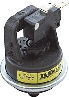 Vista 2 de Pentair Interruptor de presión, MasterTemp