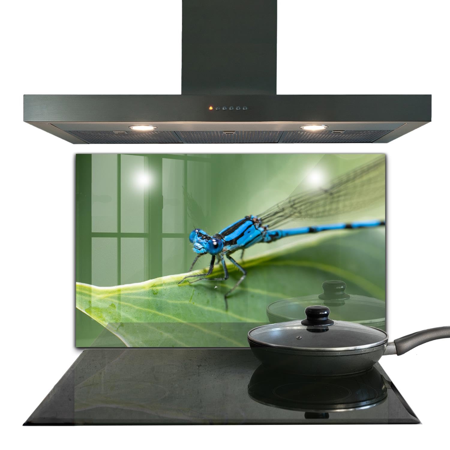 Verre trempé intérieur haut de gamme 100x70 cm pour décoration de cuisine libellule