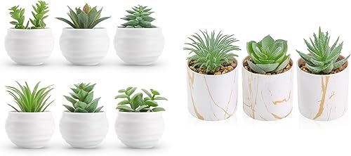 Der Rose Paquete de 6 plantas suculentas y 3 paquetes de plantas falsas para decoración de escritorio de oficina en casa para mujeres