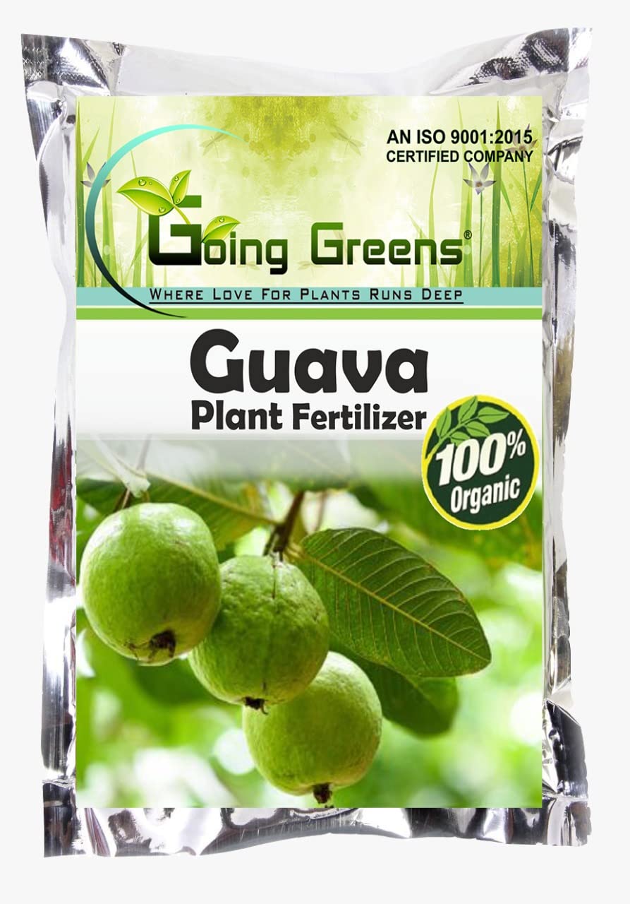 Going Greens Guava Fertlizers for Plants Home Garden I Guava Plant Growth Supplement I Guava Plant Fertilizer for Pot Plants I 200 GMS (B0BGT7LX7K) Amazon Price History, Amazon Price Tracker