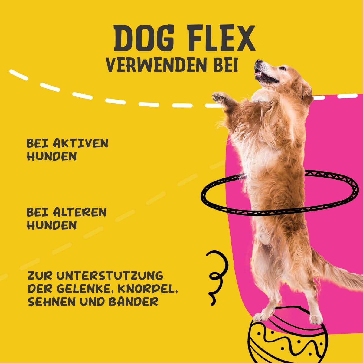 Holland Animal Care Nahrungsergänzung Dog Flex, 1er Pack (1 x 500 ml)