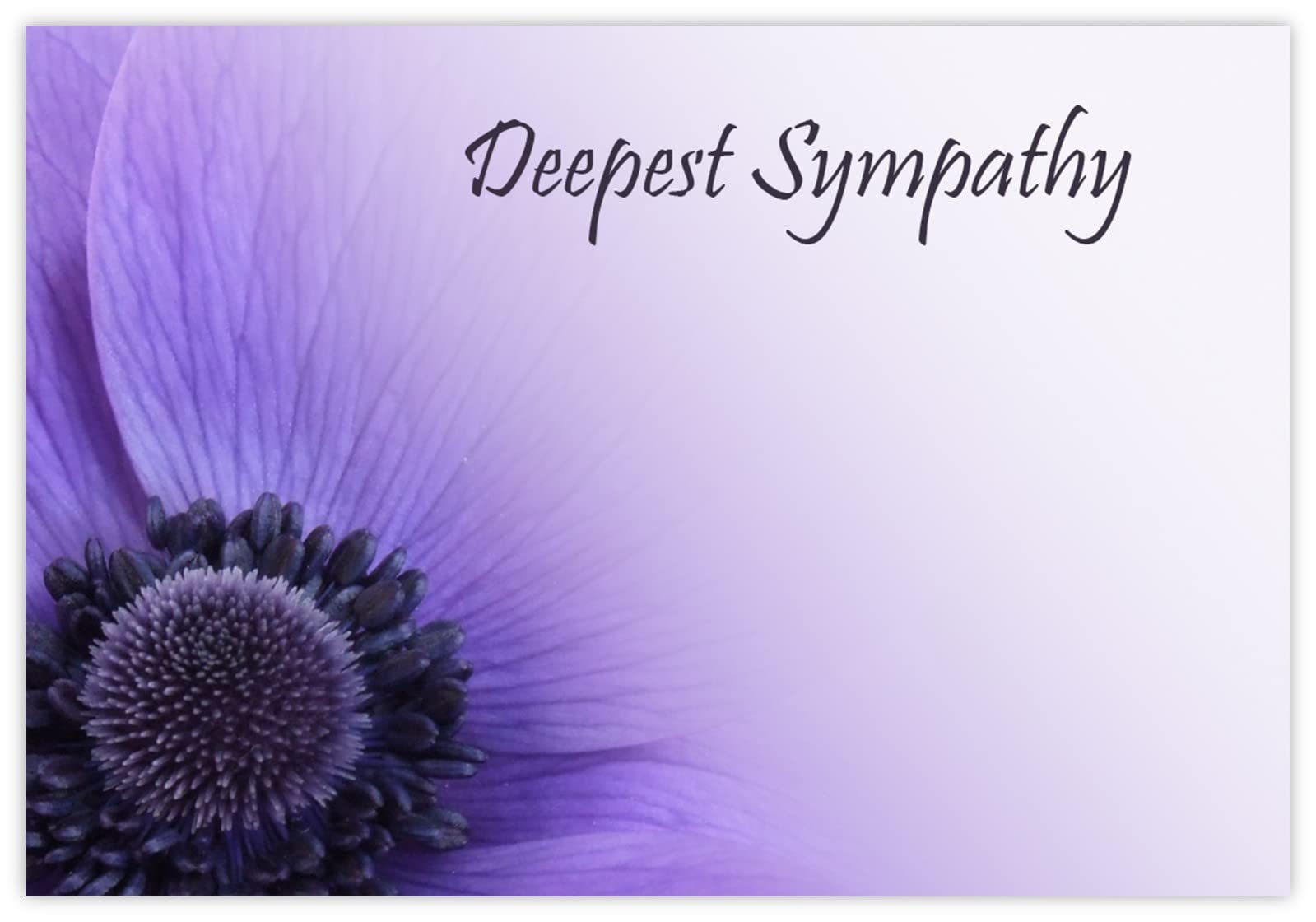 celloexpress Deepest Sympathy (Purple Poppy) Flower Message Cards - 60mm x 90mm - Bereavement Florist Card Sympathy Condolences Notes (Pack of 100) โ image 1
