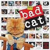 Bad Cat 2014 Wall Calendar
