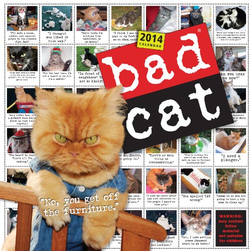 Bad Cat 2014 Wall Calendar