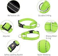 Vista 3 de Collar de martingala reflectante de Plutus Pet con hebilla - Collar de entrenamiento duradero y ajustable para que el perro no tire, collar