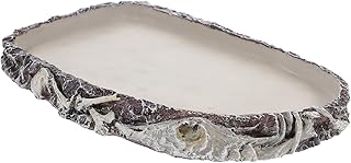 WOONEKY Suprimentos Lagarto Bacia De Água Tigela De Água De Prato De Água De Recipiente Dispensador De Comida De Réptil Tigela De Minhoca Para Répteis Tigela De Bacia De Réptil Reptichip