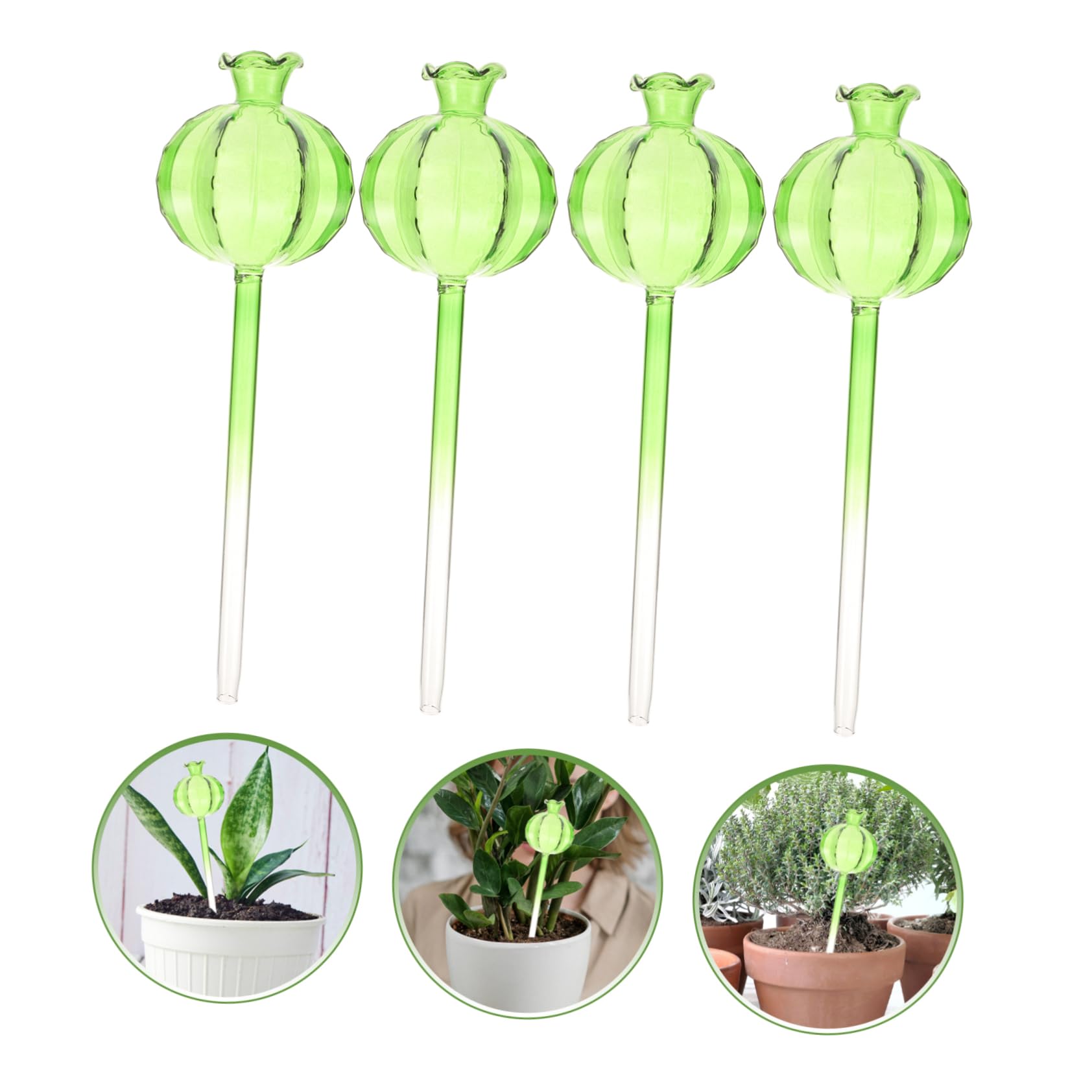 POPETPOP 12 Pièces Pot de Fleurs à arrosage Automatique Plante d'intérieur Jardinage Outillage Pot de rempotage Pots de Fleurs bulbes d'arrosage des Plantes Globes d'arrosage Un Verre