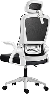 Office Chair, Gaming Chair, Ergonomic Desk with Headrest, Adjustable and Lumbar Support | Breathable Mesh Backrest | 90° F…