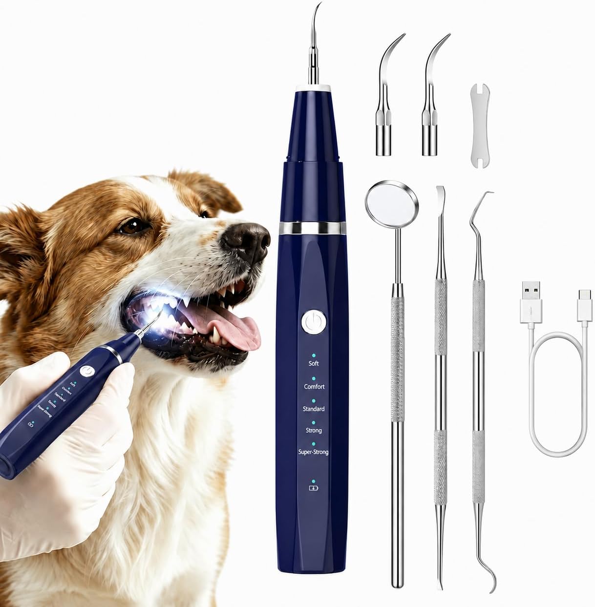 Plaque and Tartar Remover Kit for Dogs and Cats