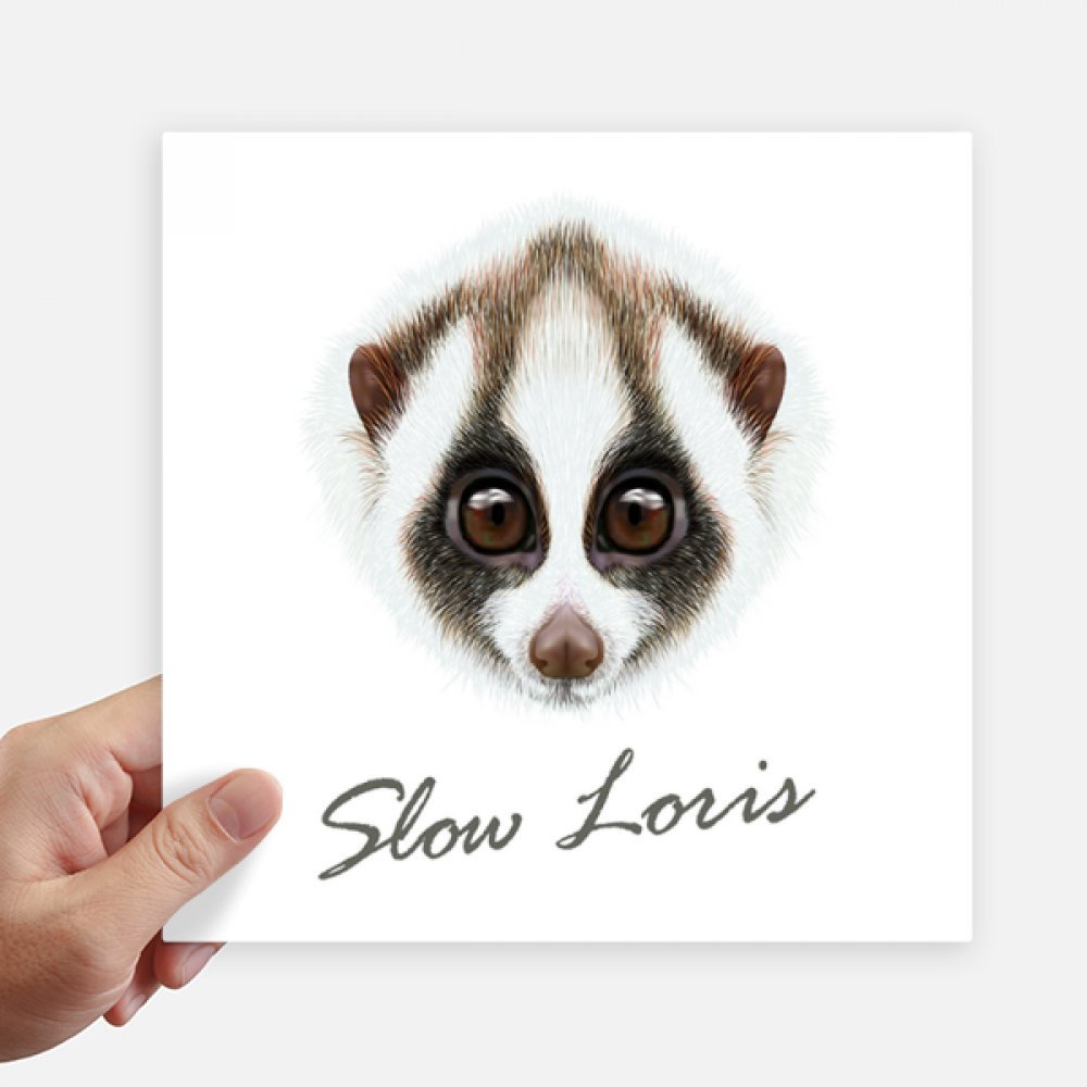 Sticker loris animal aux grands yeux idéal pour décorer une valise de voyage originale