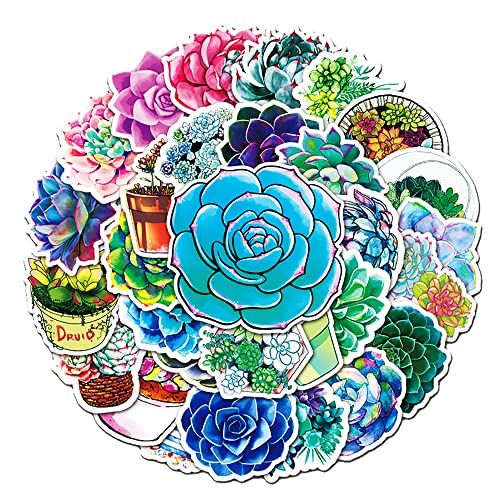 Vibrant Succulent Plant Vinyl Stickers, 50 PCS Colorful Succulent & Echeveria Decals for Journals Scrapbooking, Laptops