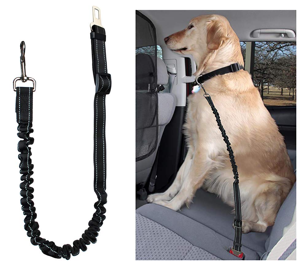ISO TRADE Basic Dog Leash with Buckle Tongue Dog Harness Adjustable 100-130 cm Elastic Black 6230, multicoloured, Groß - Image 4
